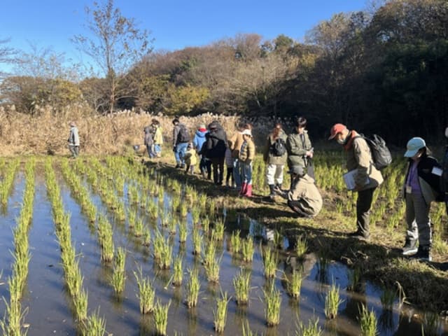 令和6年12月14日　「里山はっけん隊！（冬）」を開催